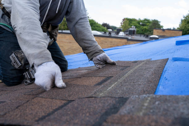Roof Repair Estimates in Cocoa, FL